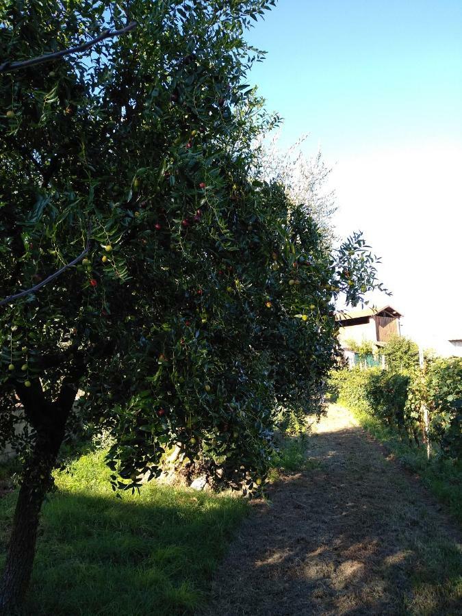 "Country House Il Brolo" Polpenazze del Garda Ngoại thất bức ảnh